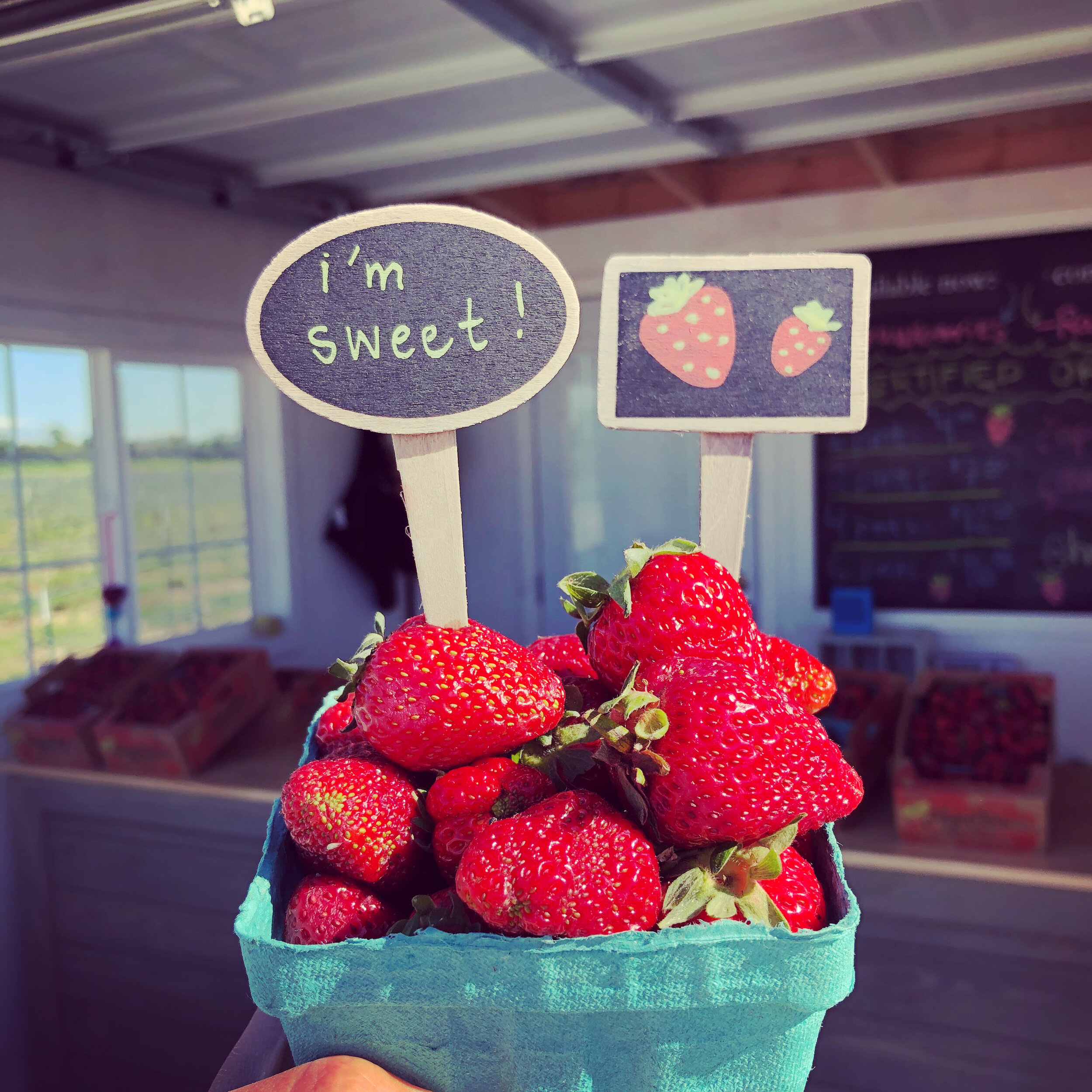 Freshly picked strawberries in a teal container, adorned with playful signs reading "I'm sweet!" and an illustration of strawberries, set against a bright farm backdrop.