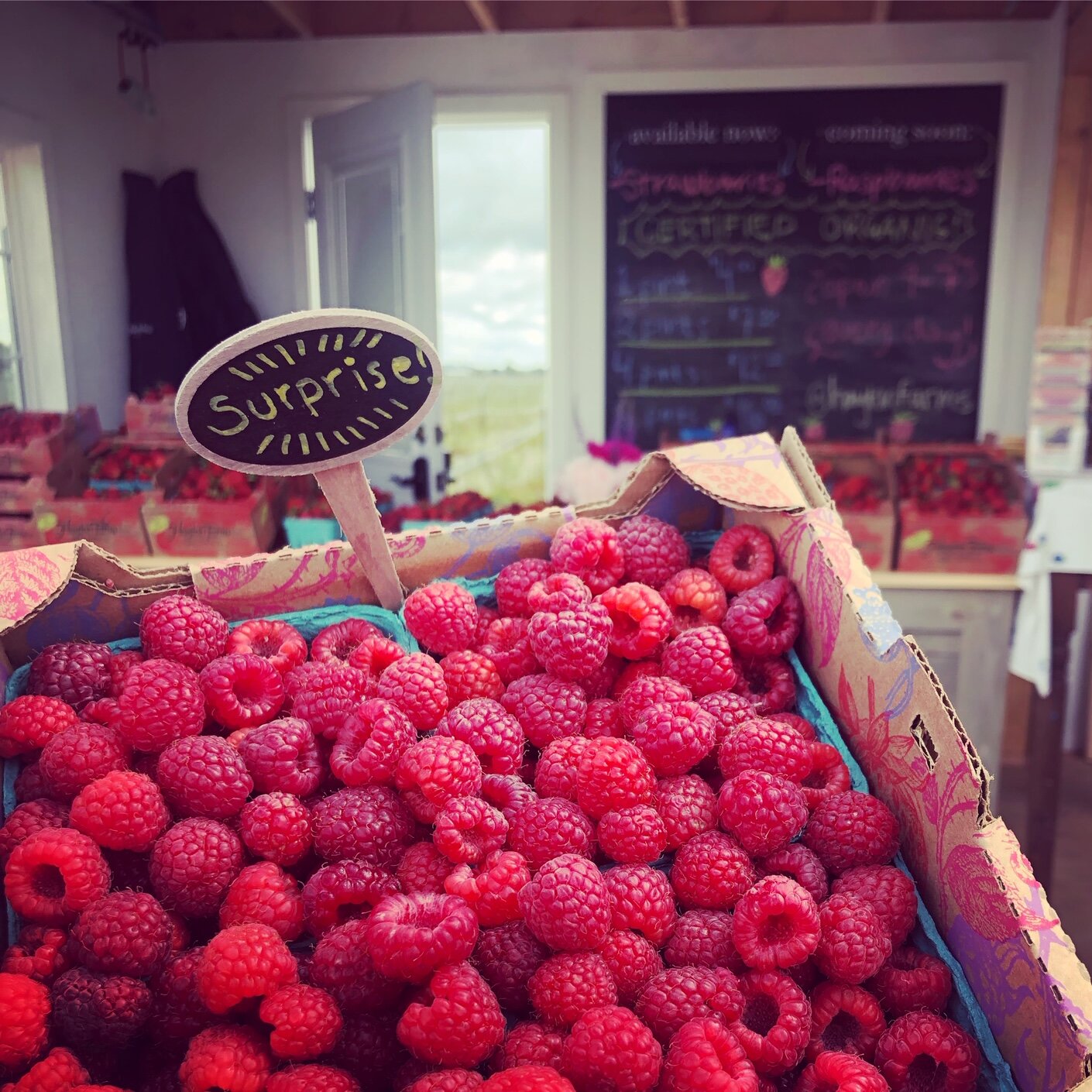 Fresh organic raspberries in a colorful box with a "Surprise" sign, displayed at a farm stand. The background features a chalkboard with available and upcoming produce listings, emphasizing local farming.