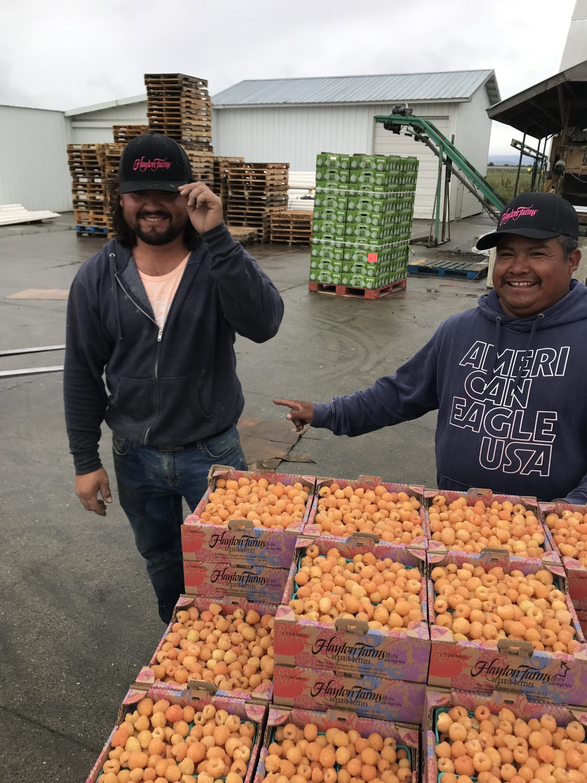 Two farm workers smiling and posing with boxes of freshly harvested fruit, surrounded by wooden pallets and a loading area. The background features a green loading machine and a cloudy sky, highlighting a busy agricultural environment.
