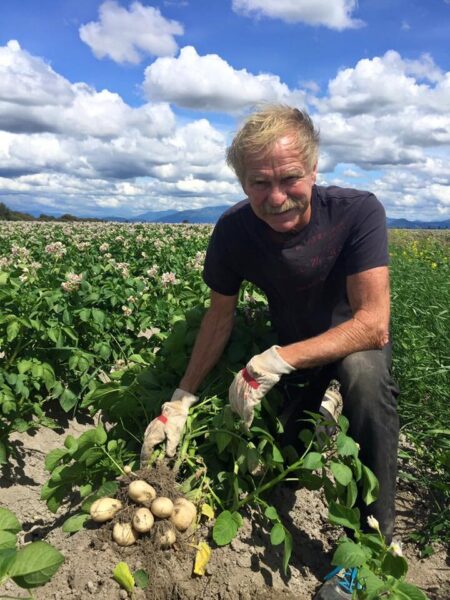 A farmer harvesting freshly dug potatoes in a lush green field under a partly cloudy sky, showcasing sustainable agriculture practices.